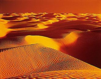 科乐美突发取消《寂静岭f》原声带实体版！数字版仍可通过DLC获取