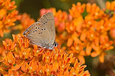 《晨昏线》角色介绍：隐于黑暗的物流司机 顾天南